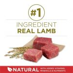 Purina ONE SmartBlend Natural Lamb & Rice Adult Dry Dog Food (44 lb Bag) - Image 2