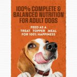 Purina Moist & Meaty Burger with Cheddar Cheese Flavor (60 Pouches, 6 oz Each) - Image 2