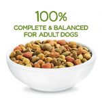 Purina Beneful Healthy Weight Dry Dog Food, Chicken Recipe (48 lb Bag) – Bulk Dog Food with Delivery in Northeast Arkansas & Memphis - Image 4